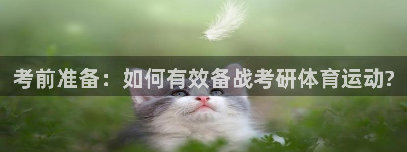 杏悦平台注册入口