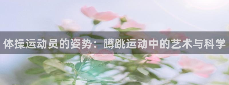 杏悦平台主管