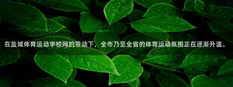 杏悦4平台