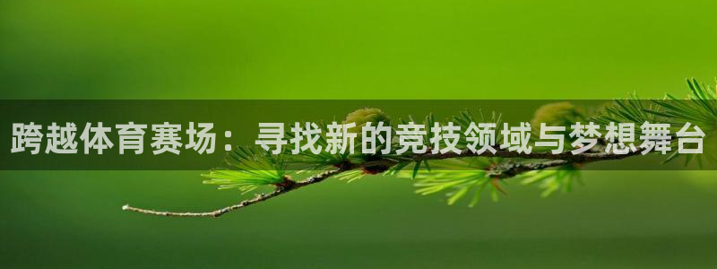 杏悦集团官网