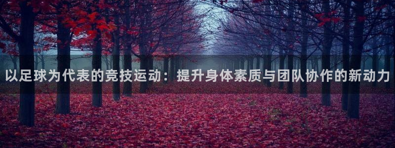 杏悦集团
