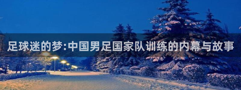 杏悦股份