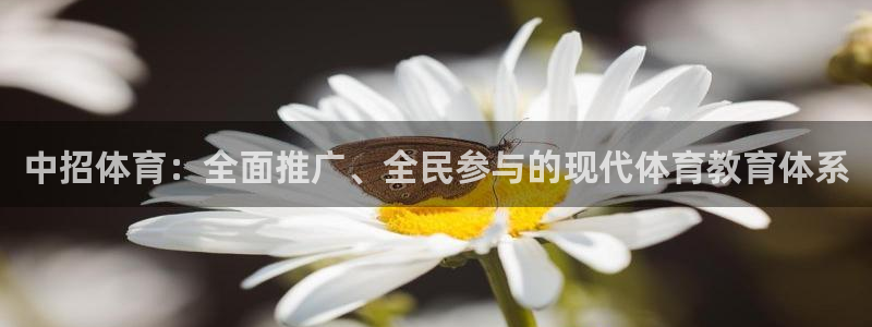 杏悦体育代理