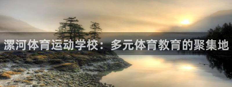 杏悦是什么平台