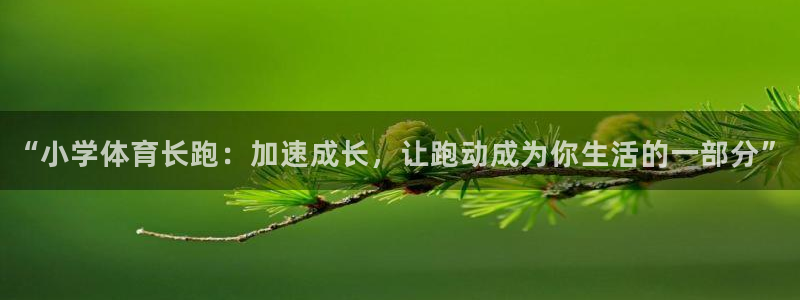 杏悦体育凯捷平台招商