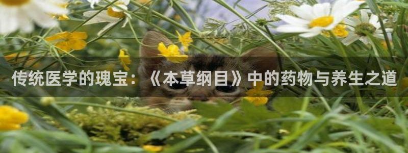 杏悦3