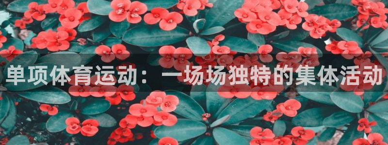 杏悦2注册