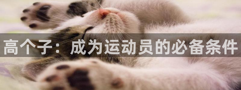 杏悦体育注册平台