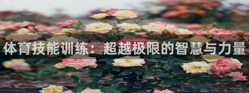 杏悦体育平台登录入口