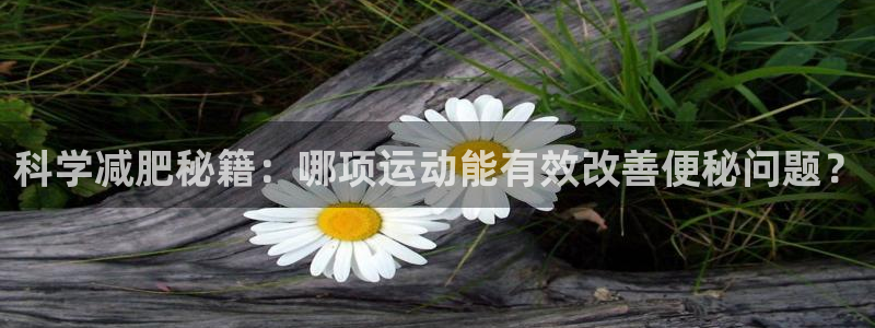 杏悦平台~53866
