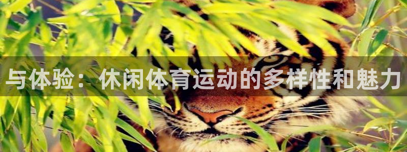 杏悦平台开户链接
