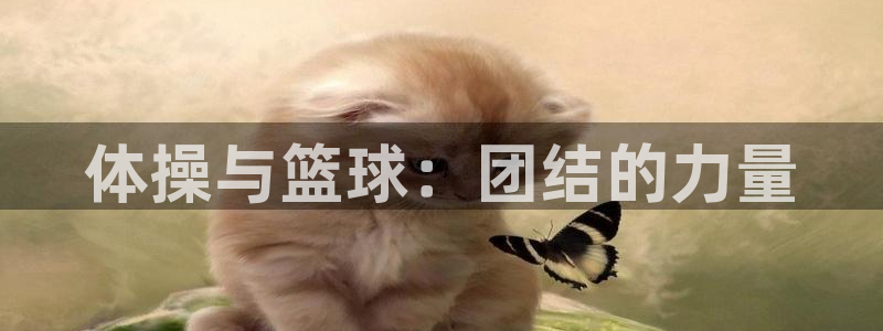 杏悦登录注册