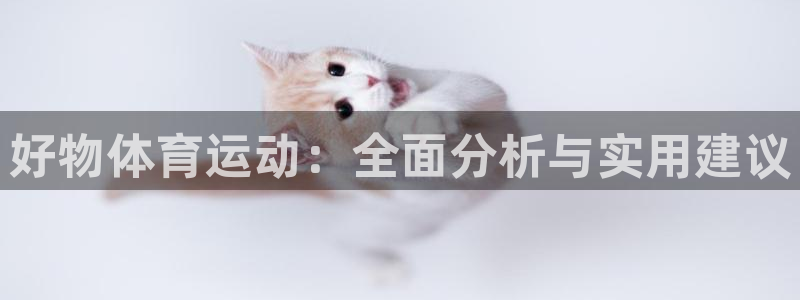 杏悦集团总部