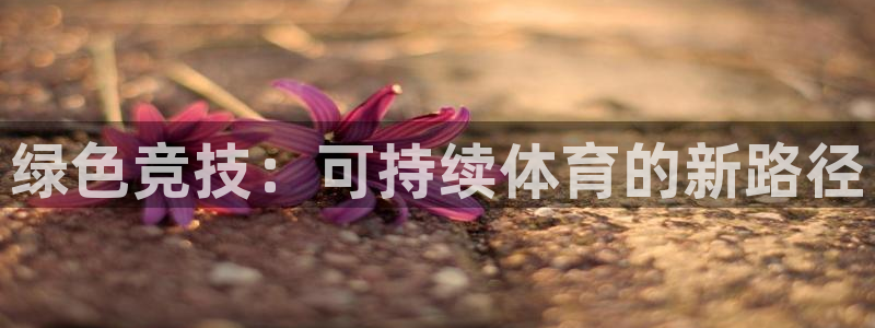 杏悦平台注册入口