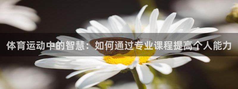 杏悦体育官网注册