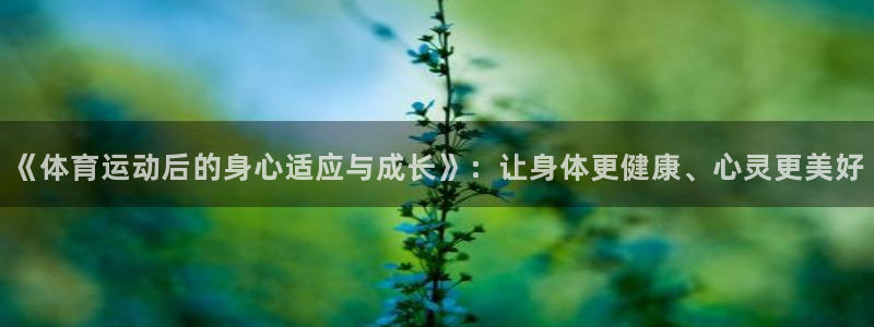 杏悦3官网登录