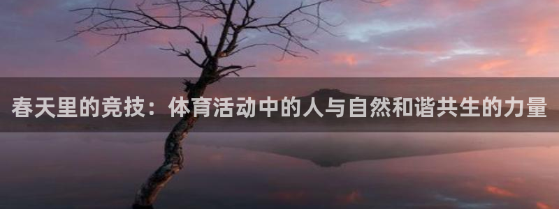 杏悦体育凯捷平台注册