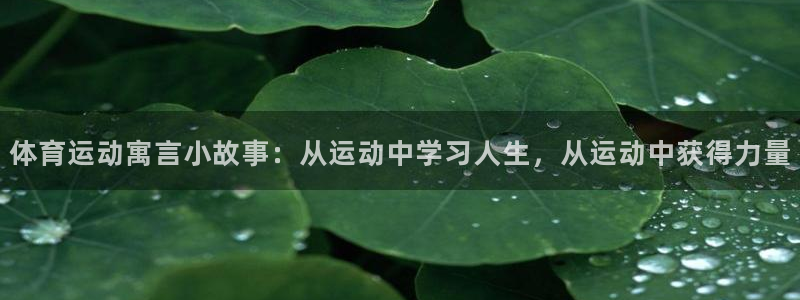 杏悦主管