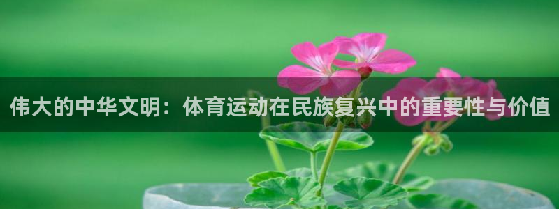 杏悦体育