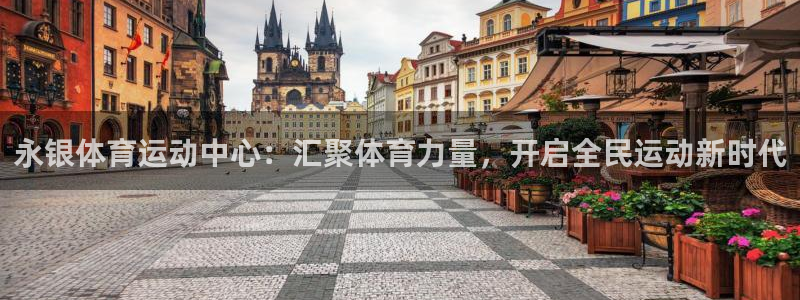 杏悦体育和杏耀是哪个公司的