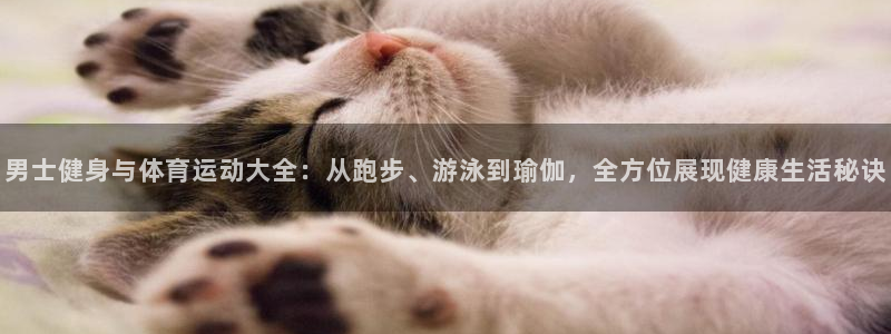 杏悦3官网