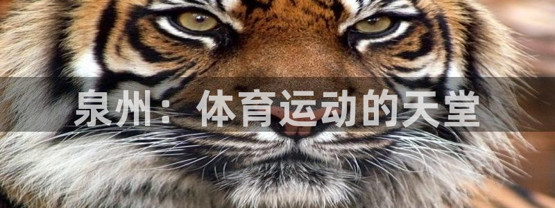 杏悦2注册