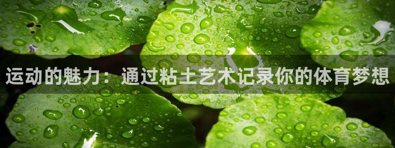 杏悦平台地址