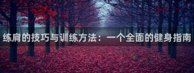 杏悦体育游戏