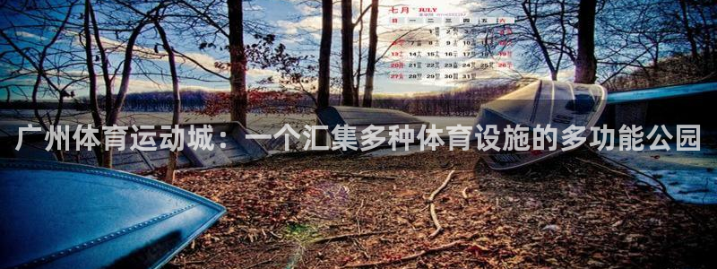 杏悦平台注册入口
