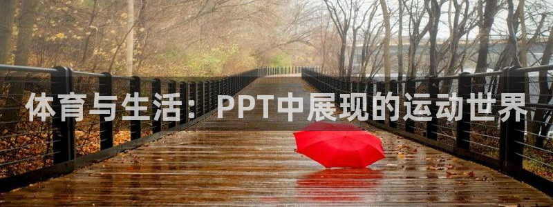 杏悦体育网页版入口