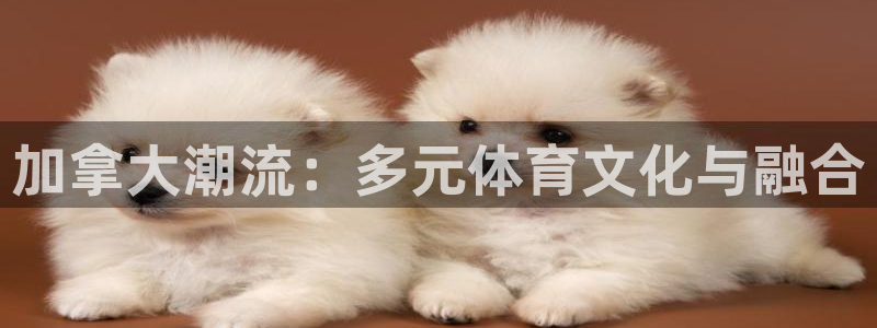 杏悦包怎么样